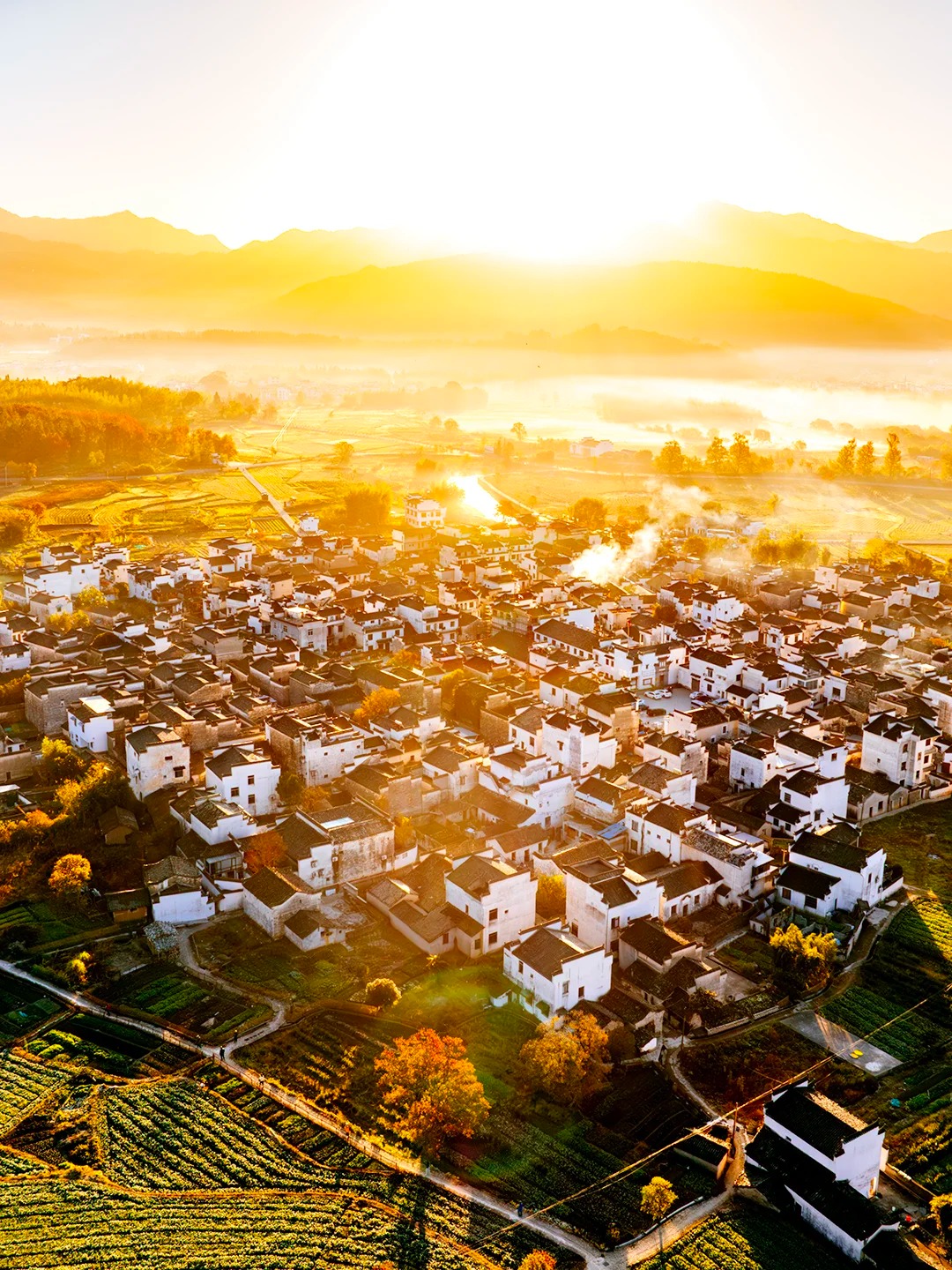 这才是秋天该有的样子，国内没有平替！_4_陈帆fotochen_安徽徽州-来自52tours 我爱旅游网